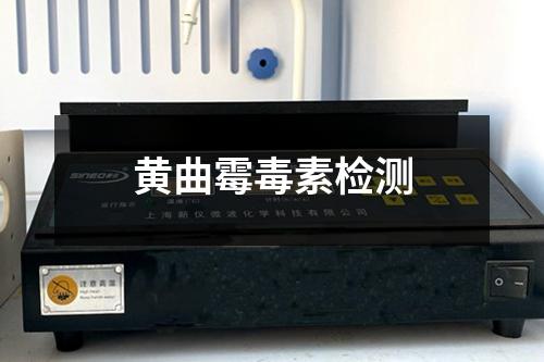 黄曲霉毒素检测 